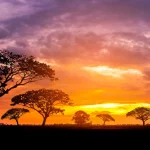 NAMIBIA - das Leuchten des Südwestens